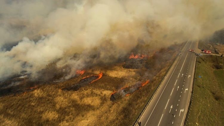 Пожар в Чернобыльской зоне удалось потушить: угрозы радиационного загрязнения нет