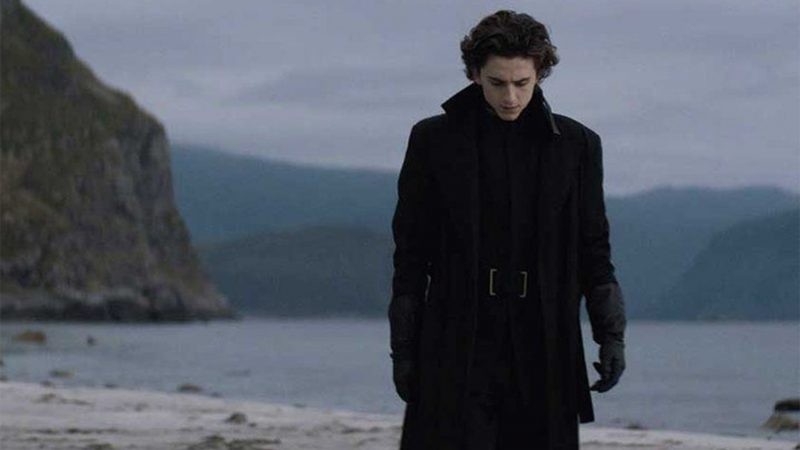 Тимоти Шаламе появится в экранизации научно-фантастического романа «Дюна» в образе главного героя