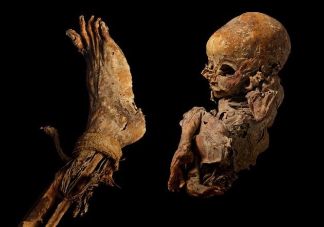 800-летние пещеры и неприступные горы королевства Мустанг