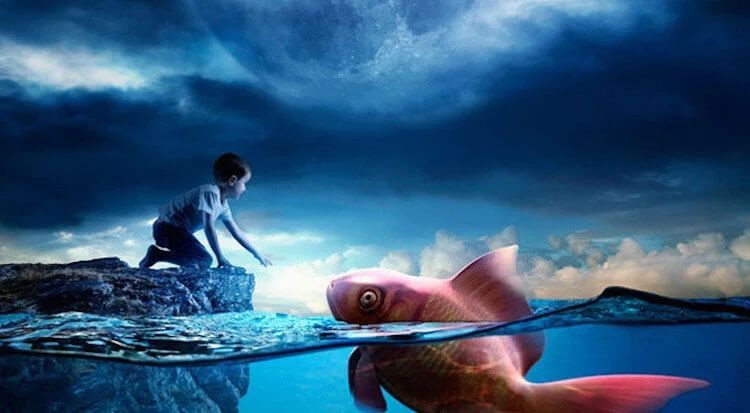 Таинственные сноведения и стоит ли их бояться