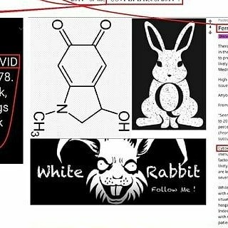 Адренохром, коронавирус, педофилы - есть ли связь?