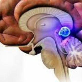 Адренохром, коронавирус, педофилы - есть ли связь?