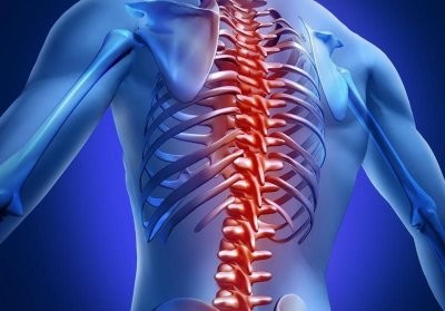 Ученые рассказали о новом способе восстановления спинного мозга после травмы