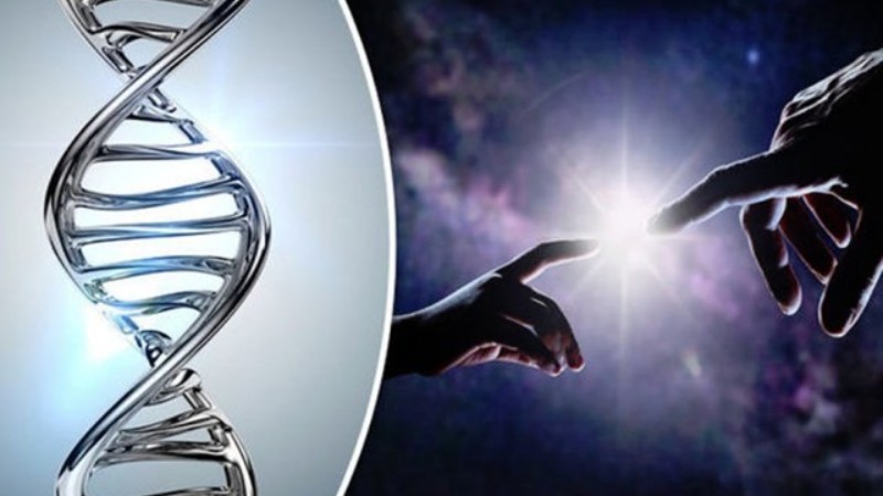 Уважаемый хирург заявил, что человеческое тело не проходило через эволюцию