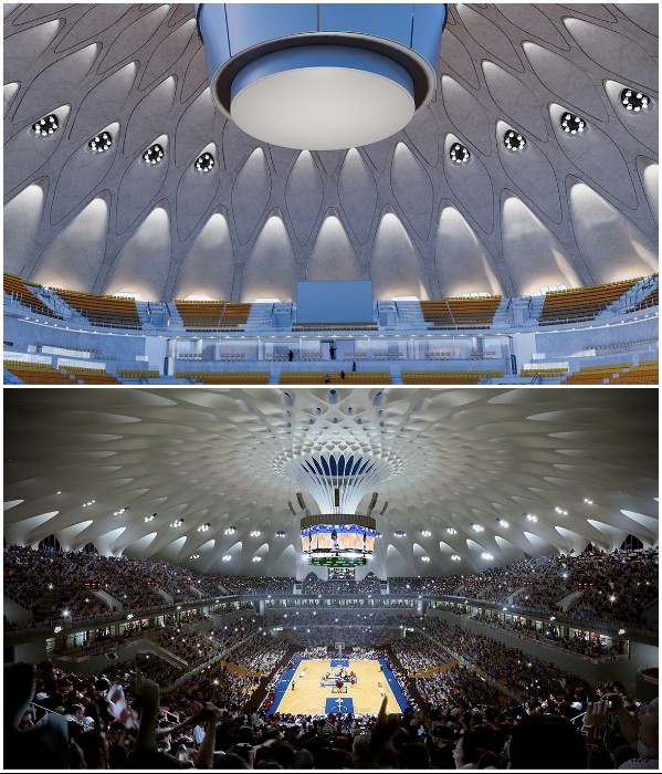 В Китае строится спортивный комплекс-городок, утопающий в зелени