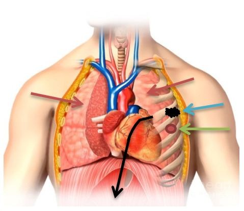 Самоубийство Маяковского оказалось случайным выстрелом