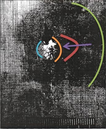 Самоубийство Маяковского оказалось случайным выстрелом