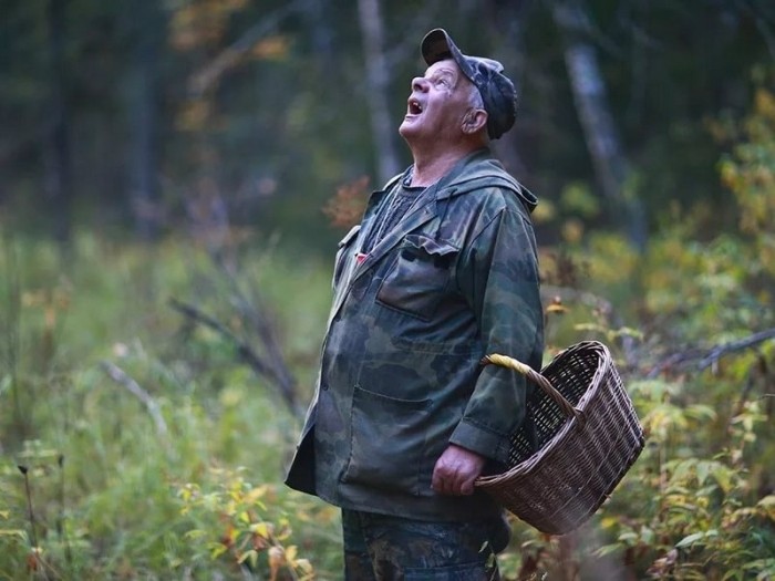 Как читать лесные метки чтобы не заблудиться?