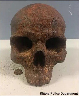 На пляже в США обнаружили загадочный металлический череп