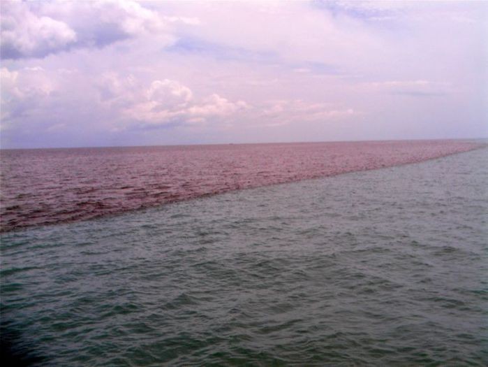 ТОП-16 водоёмов, в которых реки, моря и океаны не смешиваются