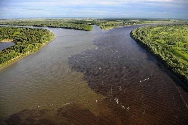 ТОП-16 водоёмов, в которых реки, моря и океаны не смешиваются