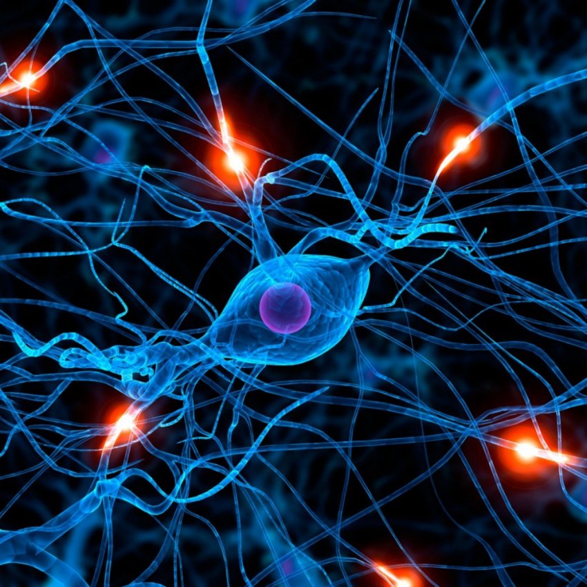 Микробиом клеток нашего организма в 3D-анимации