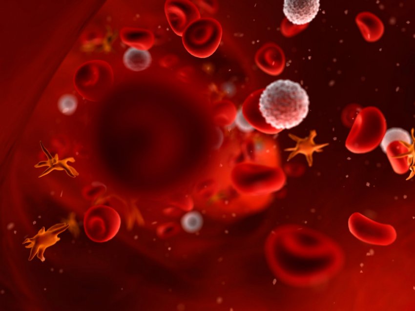 Микробиом клеток нашего организма в 3D-анимации