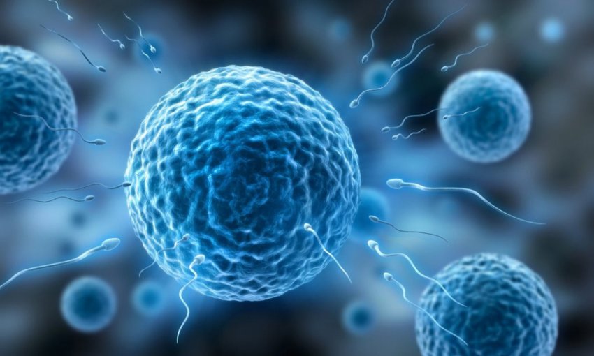 Микробиом клеток нашего организма в 3D-анимации