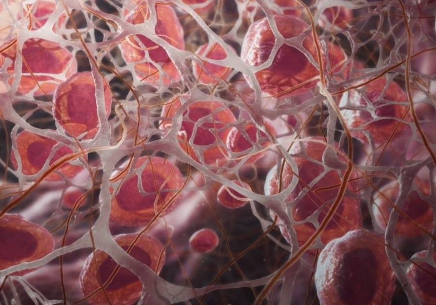 Микробиом клеток нашего организма в 3D-анимации