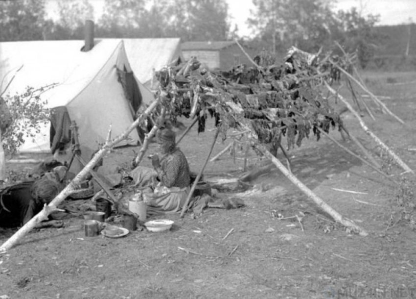 Как в древности сохраняли пищу свежей?