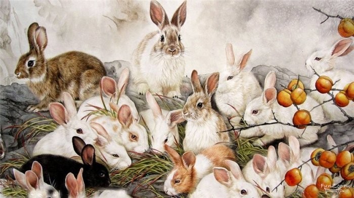 Почему на Руси крольчатина считалась запрещённым мясом?