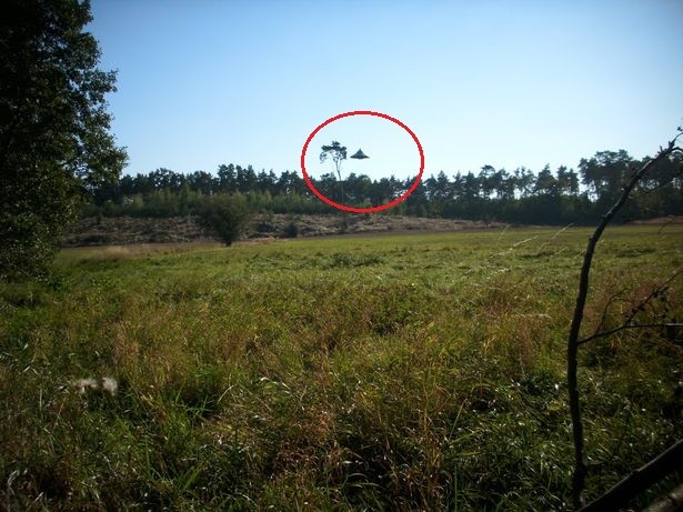 Над польским селом пролетел НЛО: местный житель успел запечатлеть его