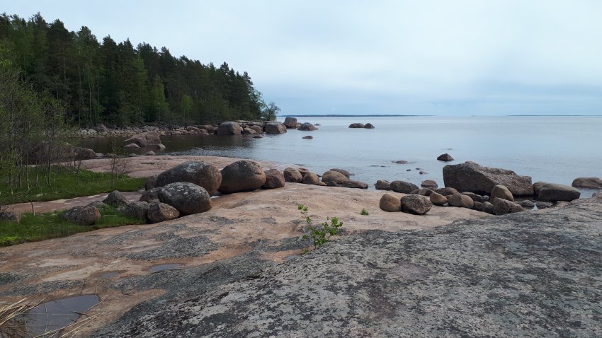 Колонны выборгского залива