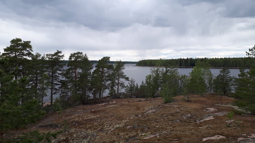 Колонны выборгского залива