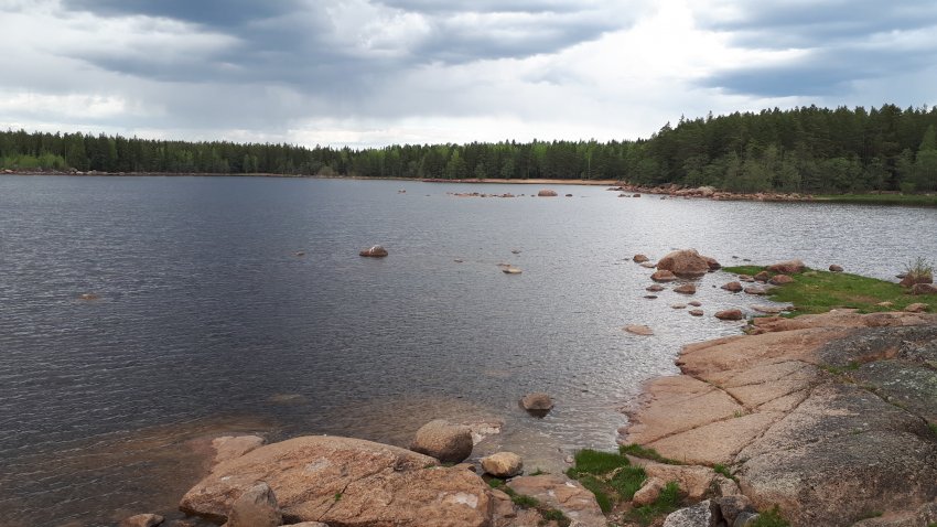 Колонны выборгского залива