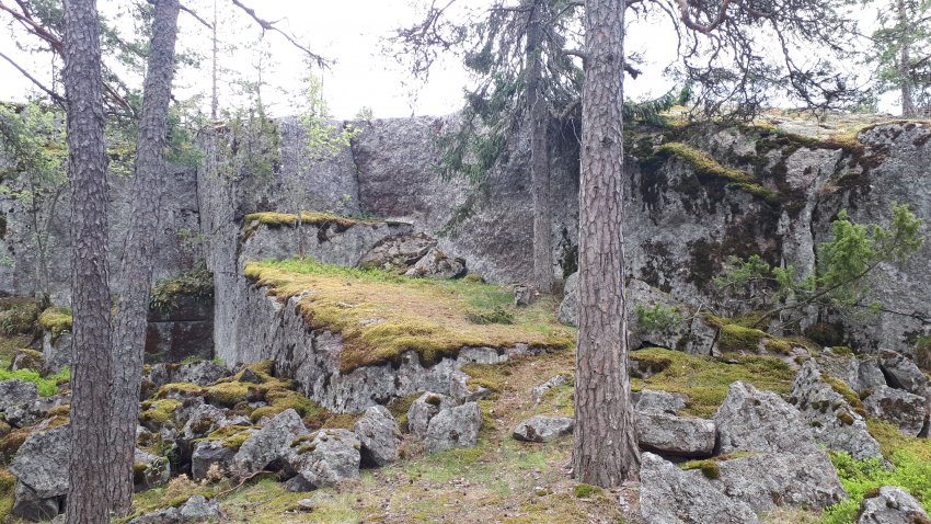 Колонны выборгского залива