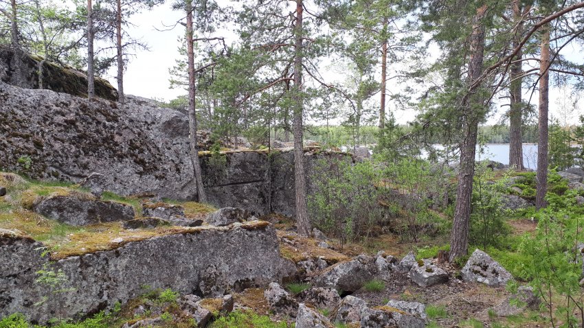 Колонны выборгского залива