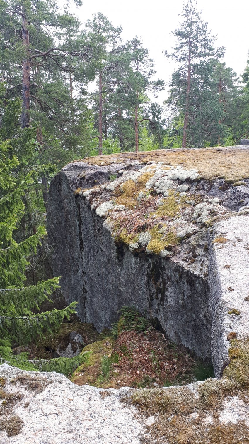 Колонны выборгского залива