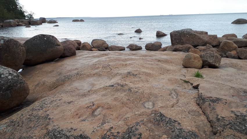 Колонны выборгского залива