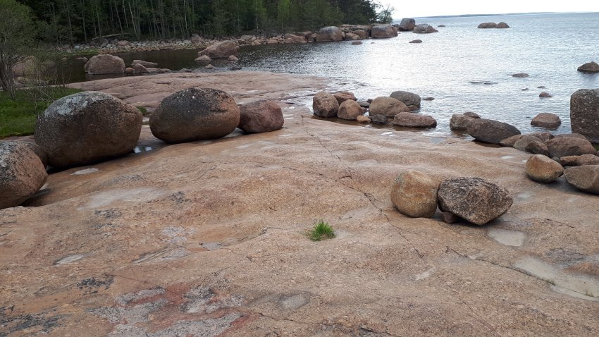 Колонны выборгского залива