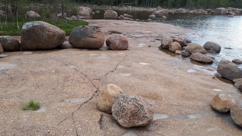 Колонны выборгского залива