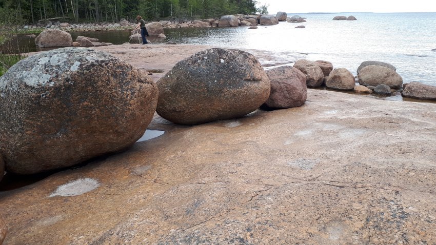 Колонны выборгского залива