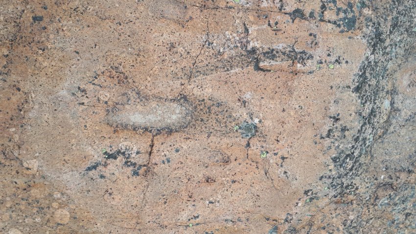 Колонны выборгского залива