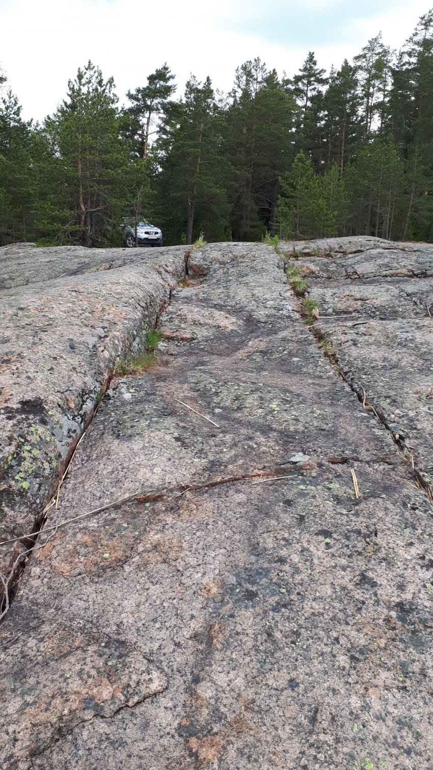 Колонны выборгского залива