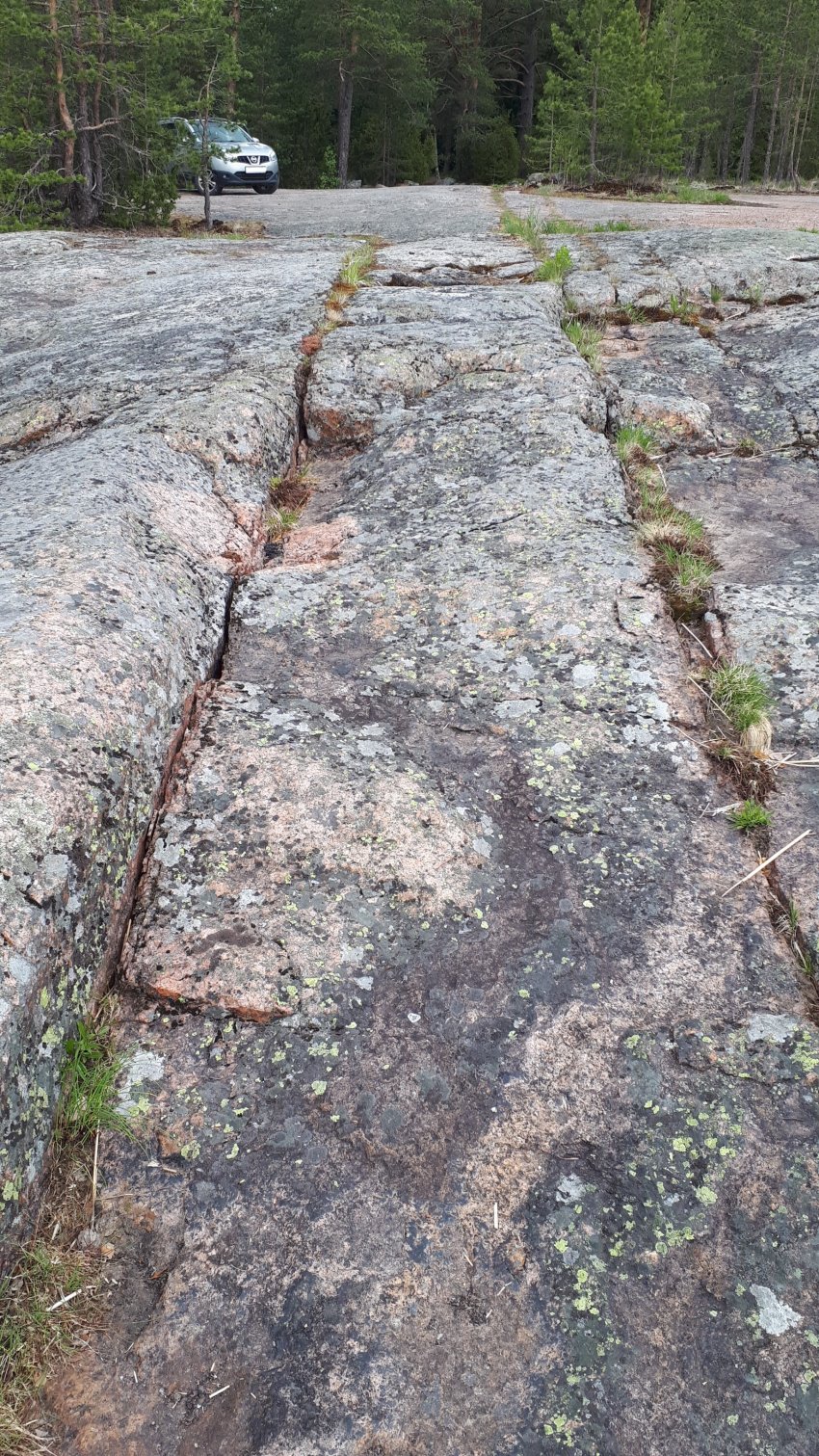 Колонны выборгского залива