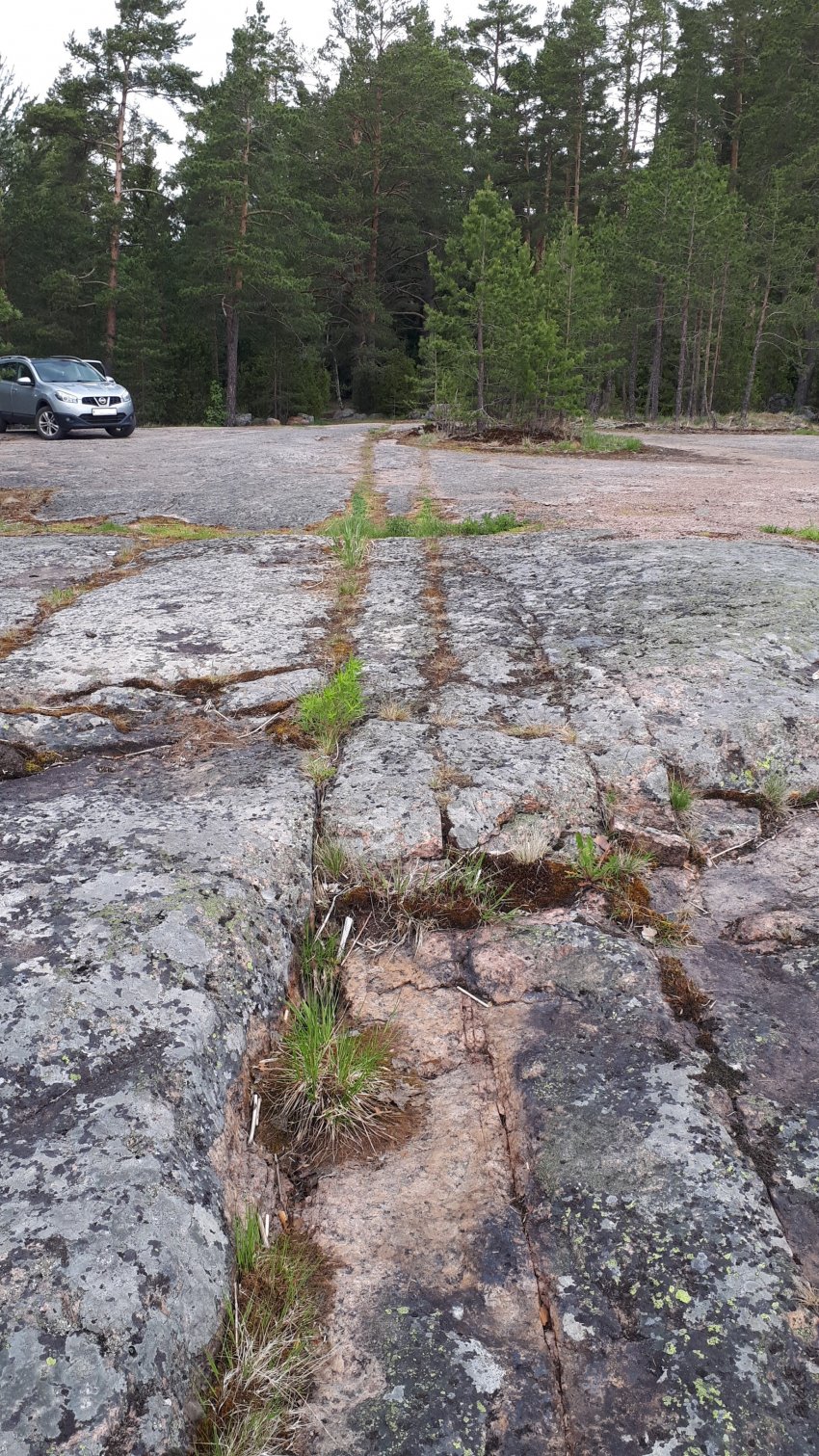 Колонны выборгского залива