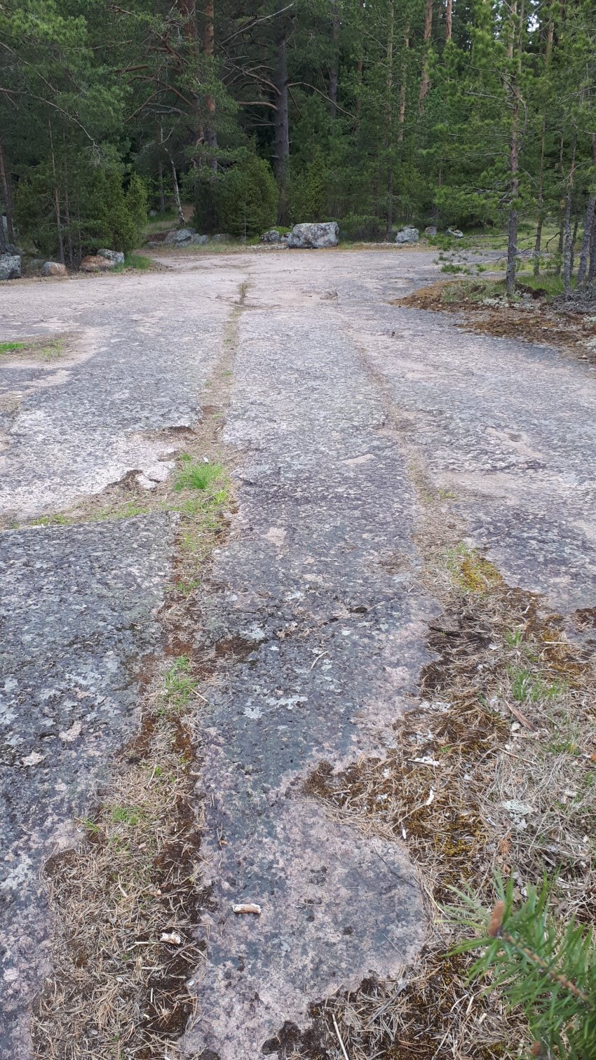 Колонны выборгского залива