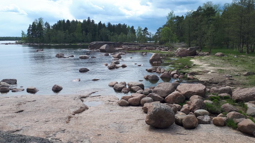 Колонны выборгского залива