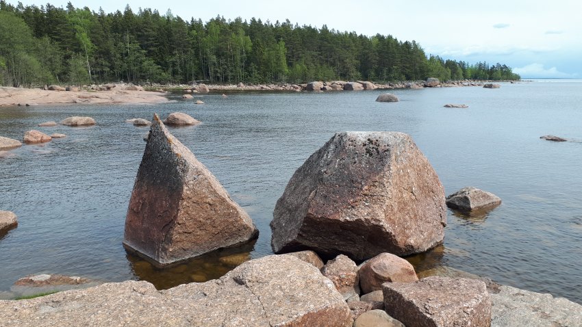 Колонны выборгского залива