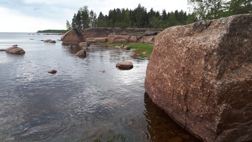 Колонны выборгского залива