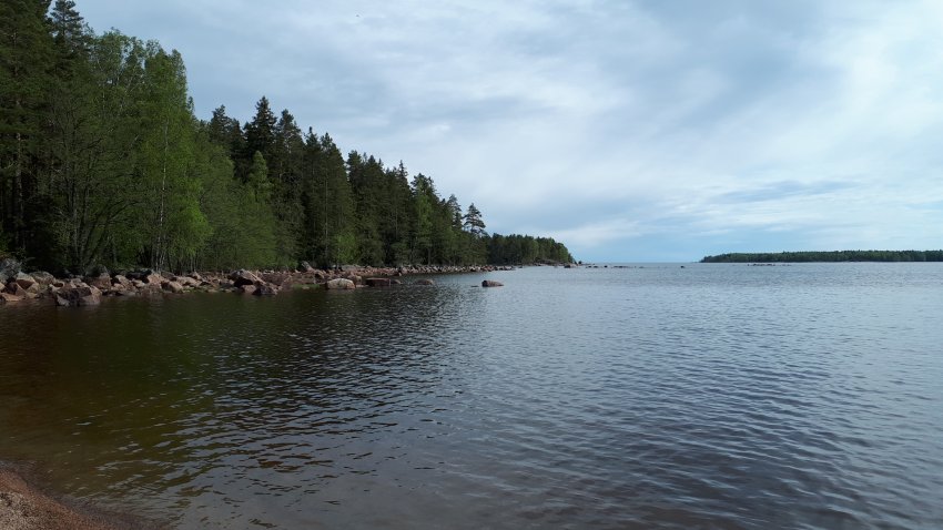 Колонны выборгского залива