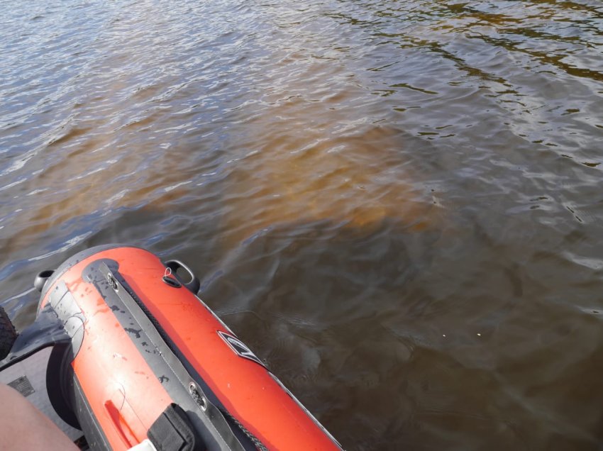 Колонны выборгского залива