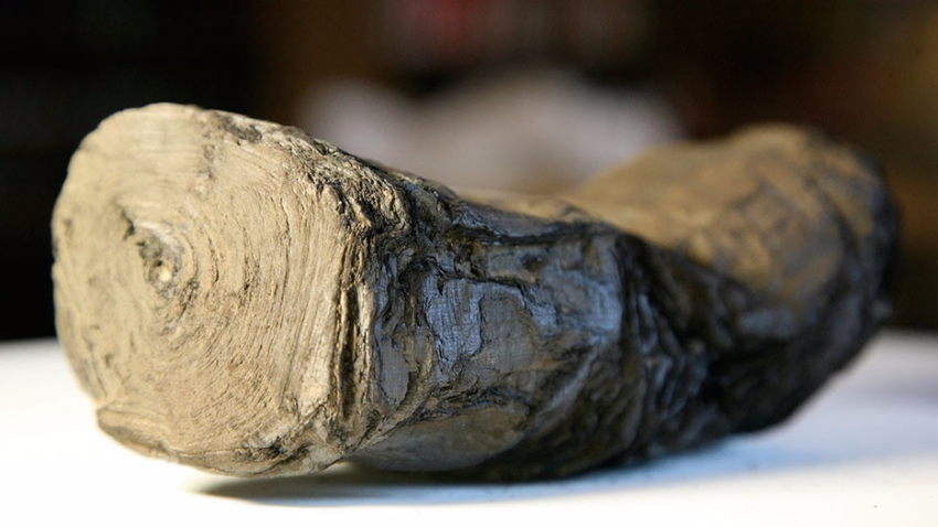 Ученые разгадали тайну происхождения свитков Мертвого моря