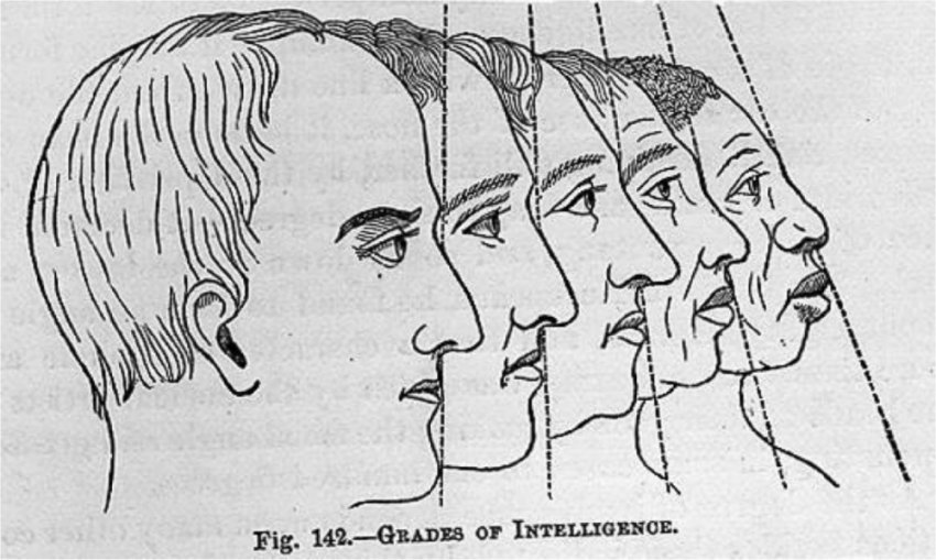 Старая и новая френология: Распознавание лиц по размеру и форме черепа