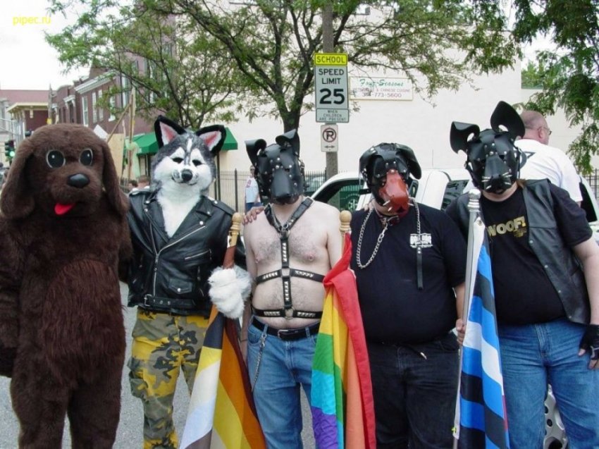 Деструктивная субкультура фурри - сетевые зоофилы заражают детей