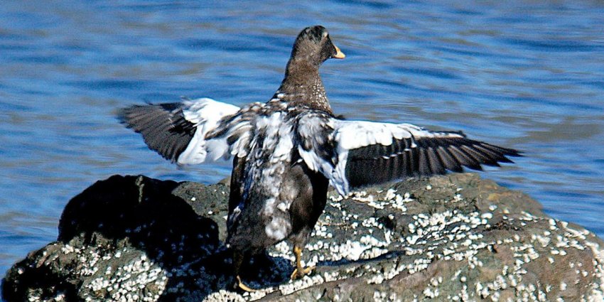Профессия — пряха: Старинное ремесло для трудолюбивых