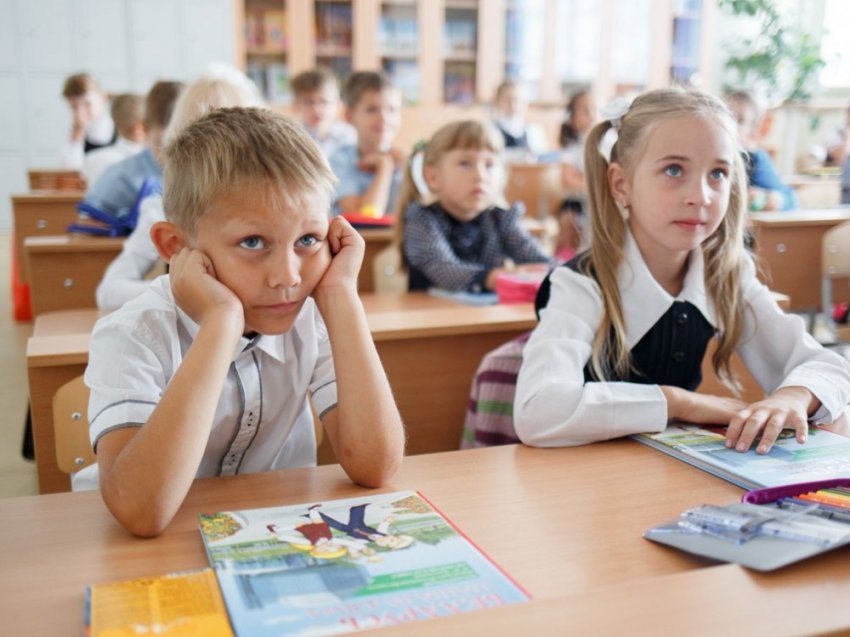 Школьная деградация или почему не работает преподавание знаний