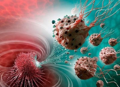 Жирная кислота запускает механизм уничтожения раковых клеток