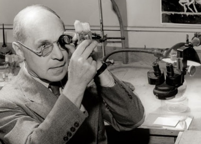 Как СССР в конце 1930-х разгромил Русское евгеническое общество?