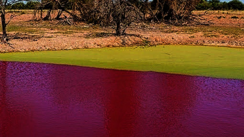 В Парагвае озеро неожиданно стало кроваво-красным